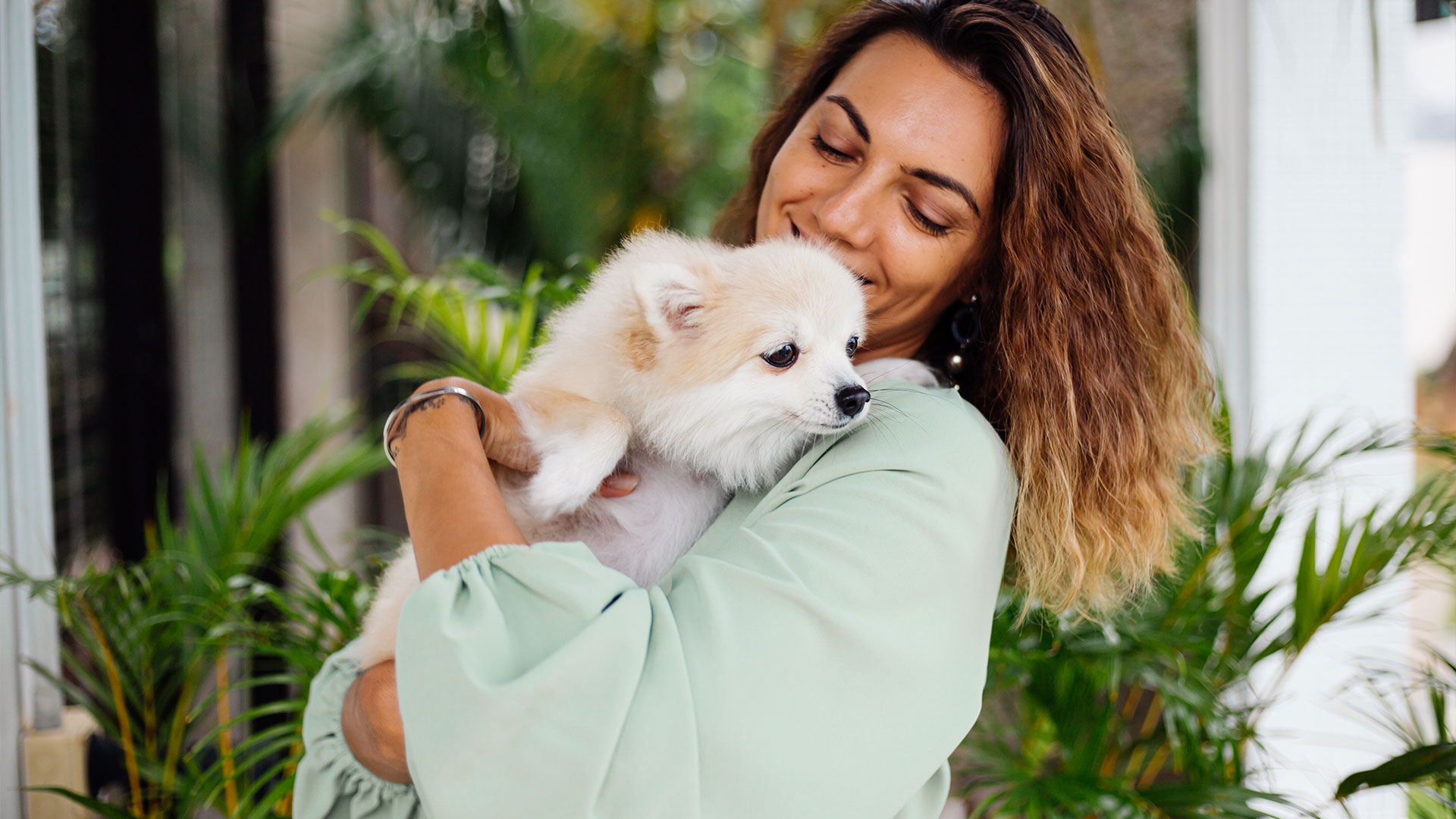 benefícios de conviver com um animal de estimação